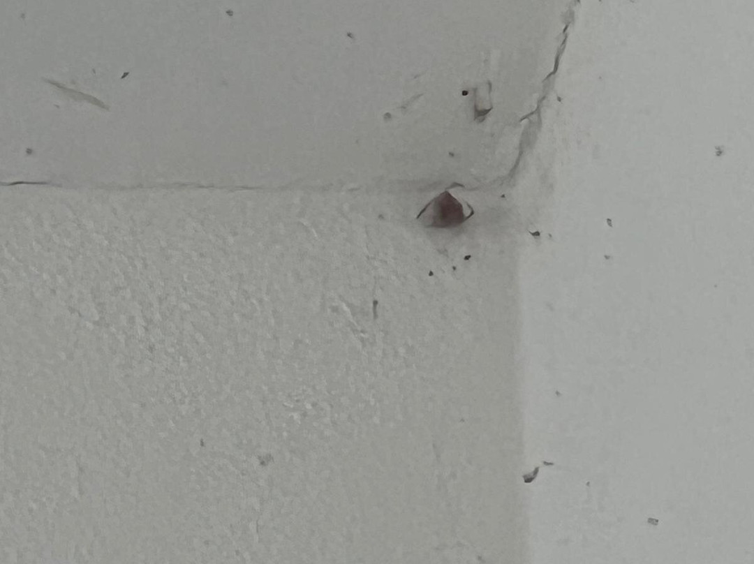 Hotel ChiemseePanorama主图