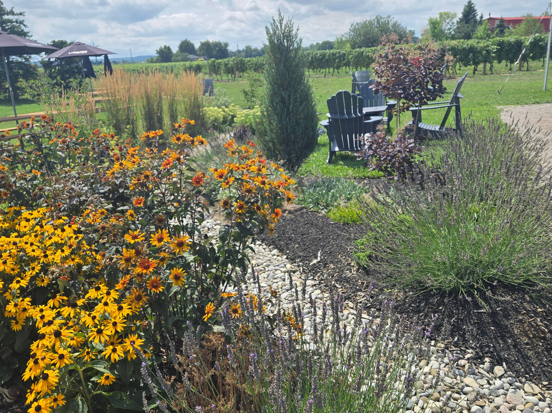 Lakeview Wine Co.-滨湖尼亚加拉必去景点