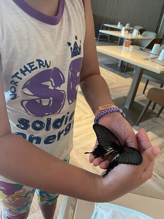 美林海滩度假村主图