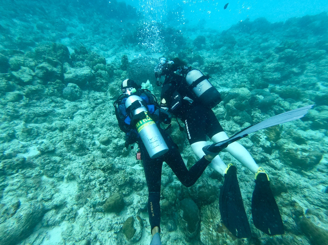 Bigorno Diving Center Mauritius-卓欧毕雪必去景点