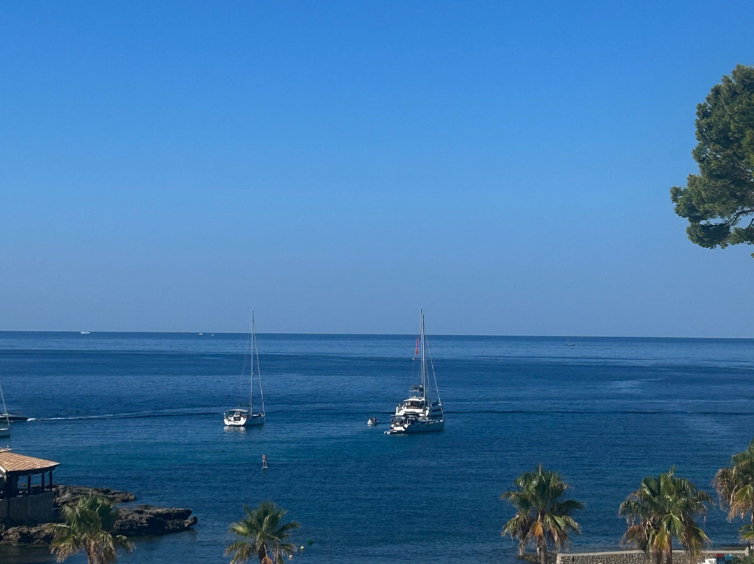 Grupotel Playa Camp de Mar主图