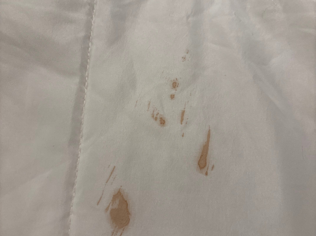 Islander Hotel & Resort主图