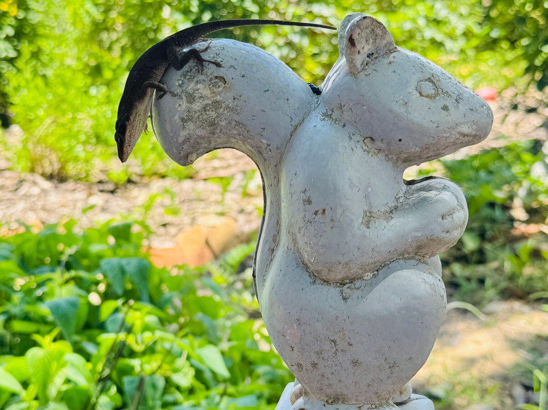 Antique Rose Emporium-Independence必去景点