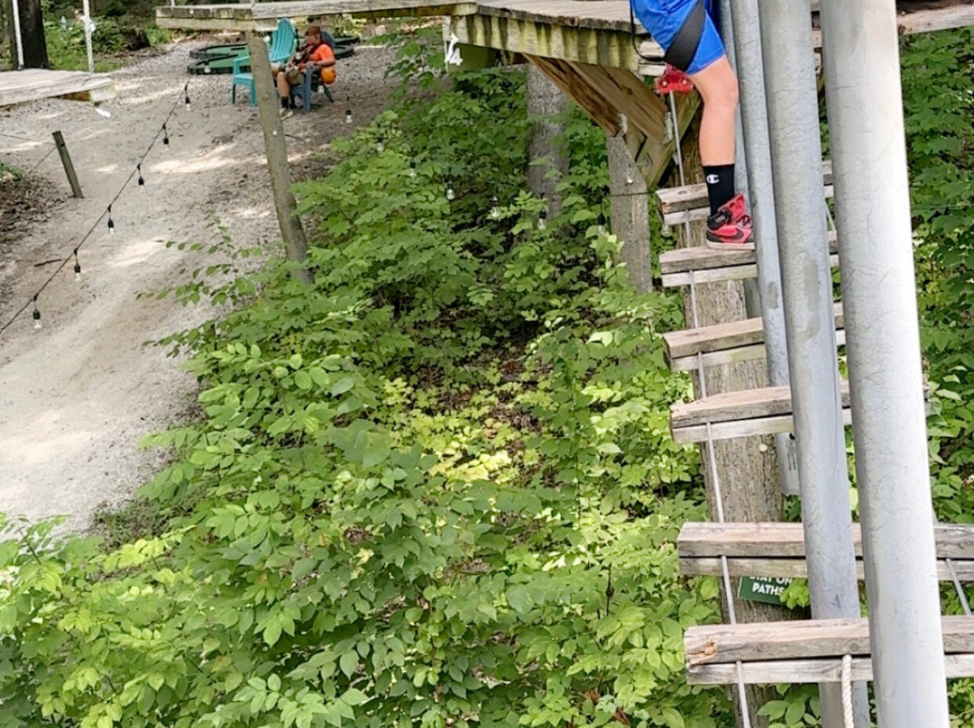 TreeRunner Grand Rapids Adventure Park-大急流市必去景点