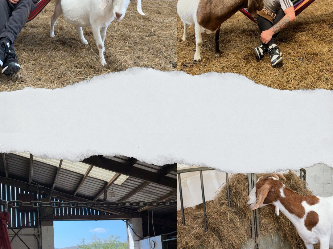 Cronkshaw Fold Farm-Rossendale必去景点