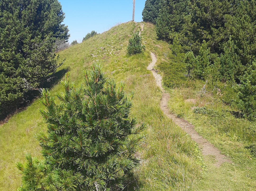 Monte Pic-Santa Cristina Valgardena必去景点