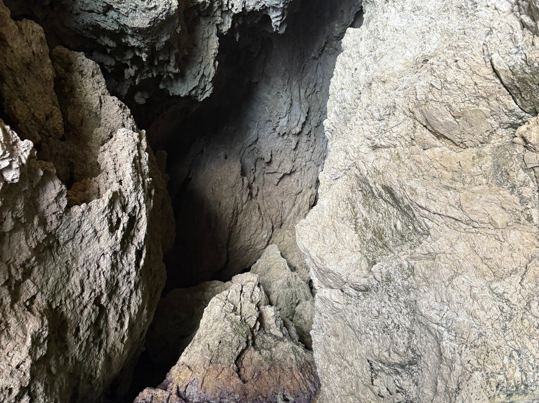 Pegasus High Speed Sea Taxi "Private Beach Excursions"-Spoa必去景点