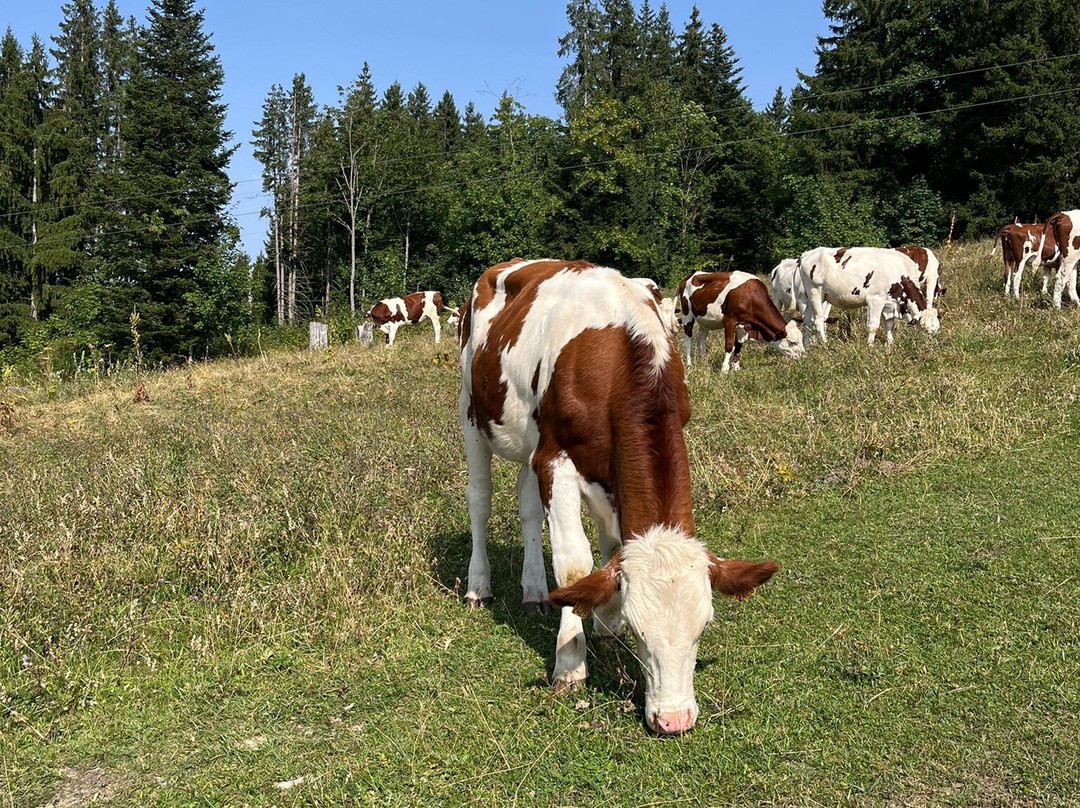 Lac Bénit-Mont Saxonnex必去景点