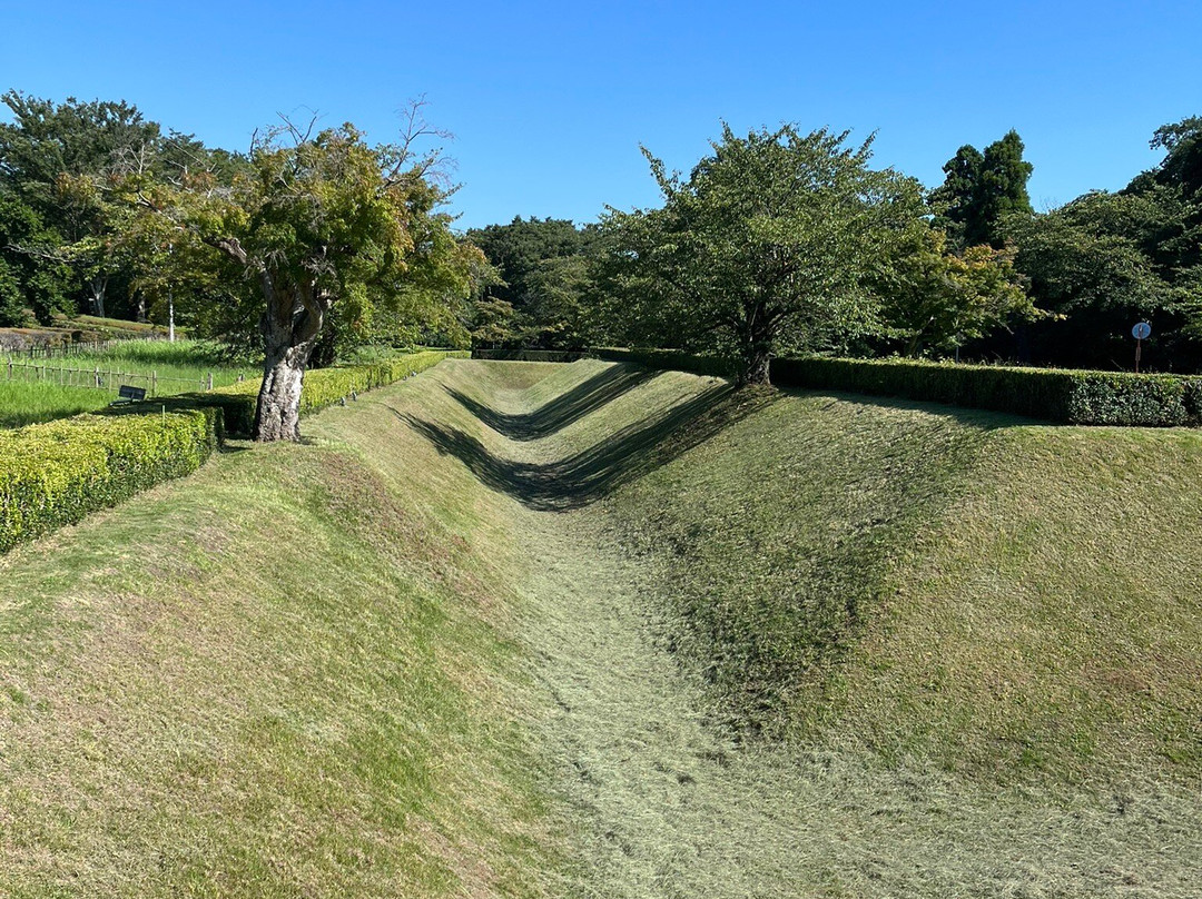Sakura Castle Site Park-佐仓市必去景点