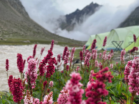 Himalayan Hikers-阿姆利则必去景点