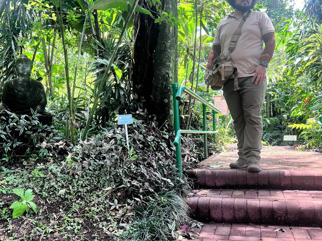 El Arca Jardín Botánico-Santa Barbara必去景点