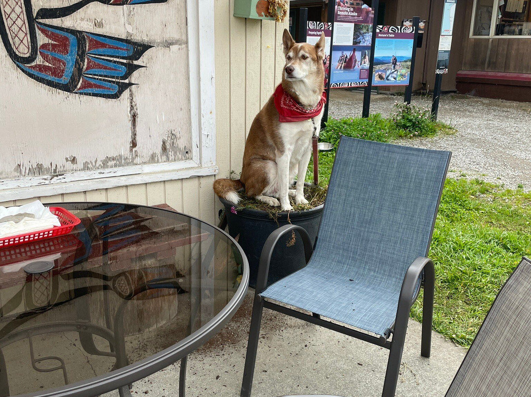 Hoonah ATV Tours-胡纳必去景点