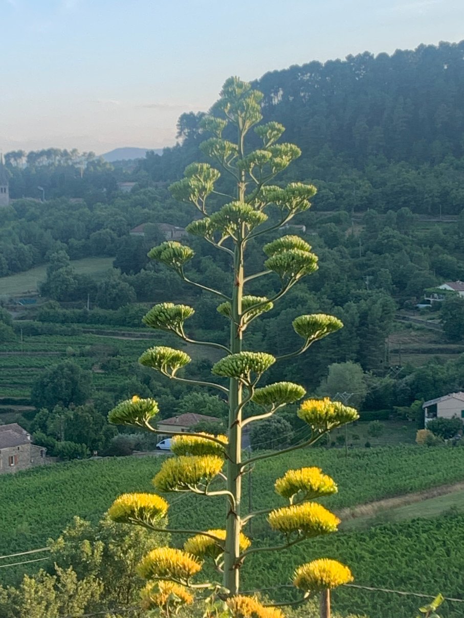 La Bastide De Sanilhac-浴室