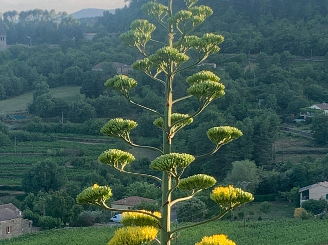 La Bastide De Sanilhac主图