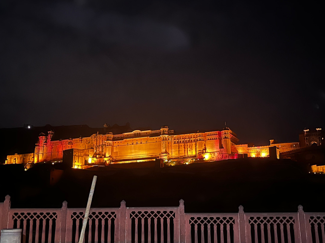 Hotel Raj Bagh Palace主图