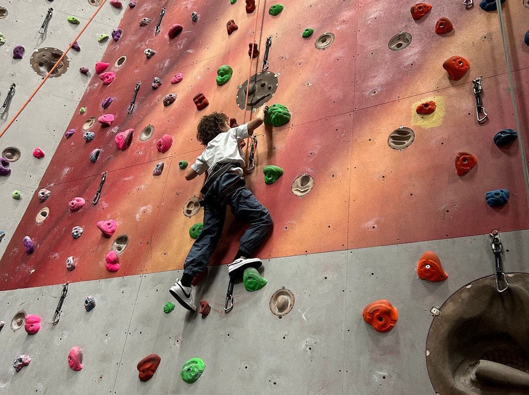 Summit Centre Climbing Wall-Trelewis必去景点