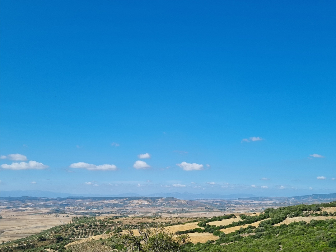 B&B Il Giardino da Pina主图