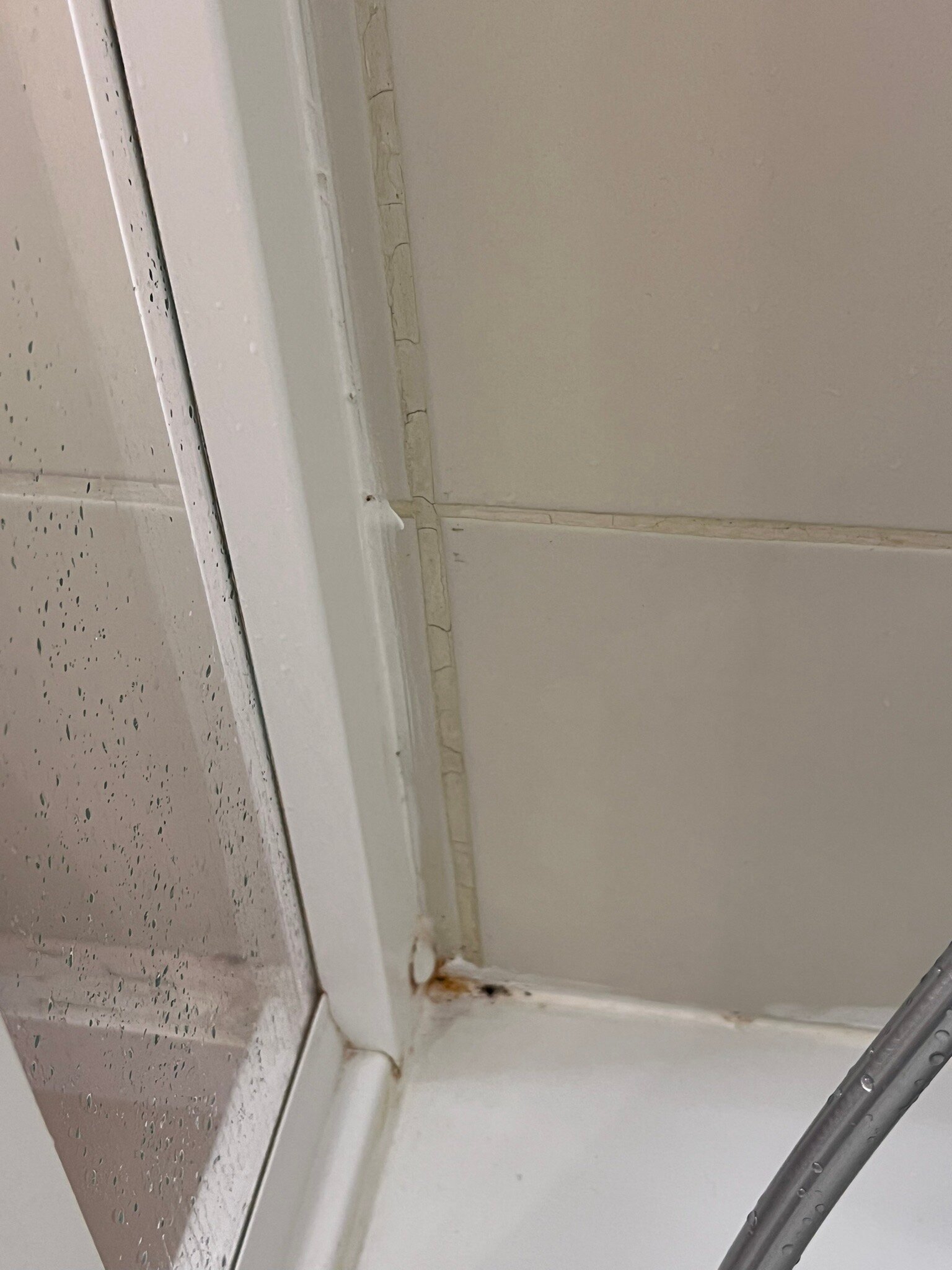 南里昂维埃纳水星酒店-官方