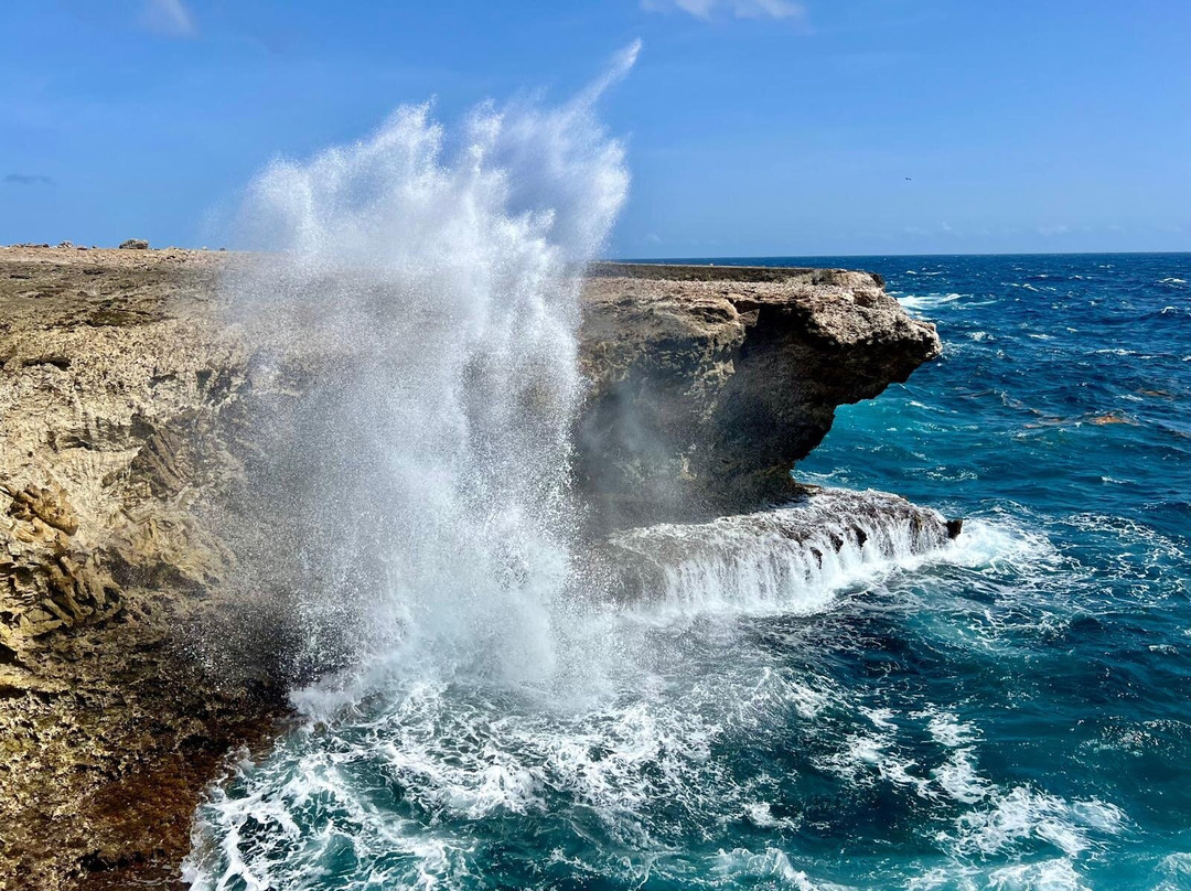 Suplado-Washington-Slagbaai National Park必去景点
