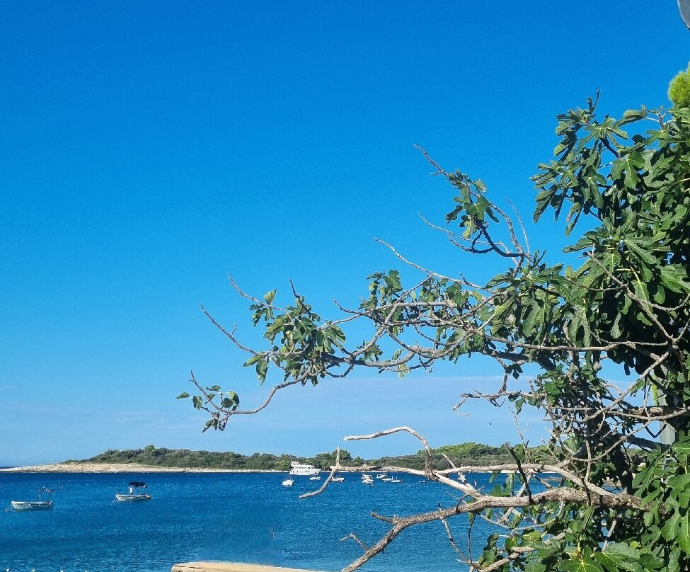 Centinera Resort主图