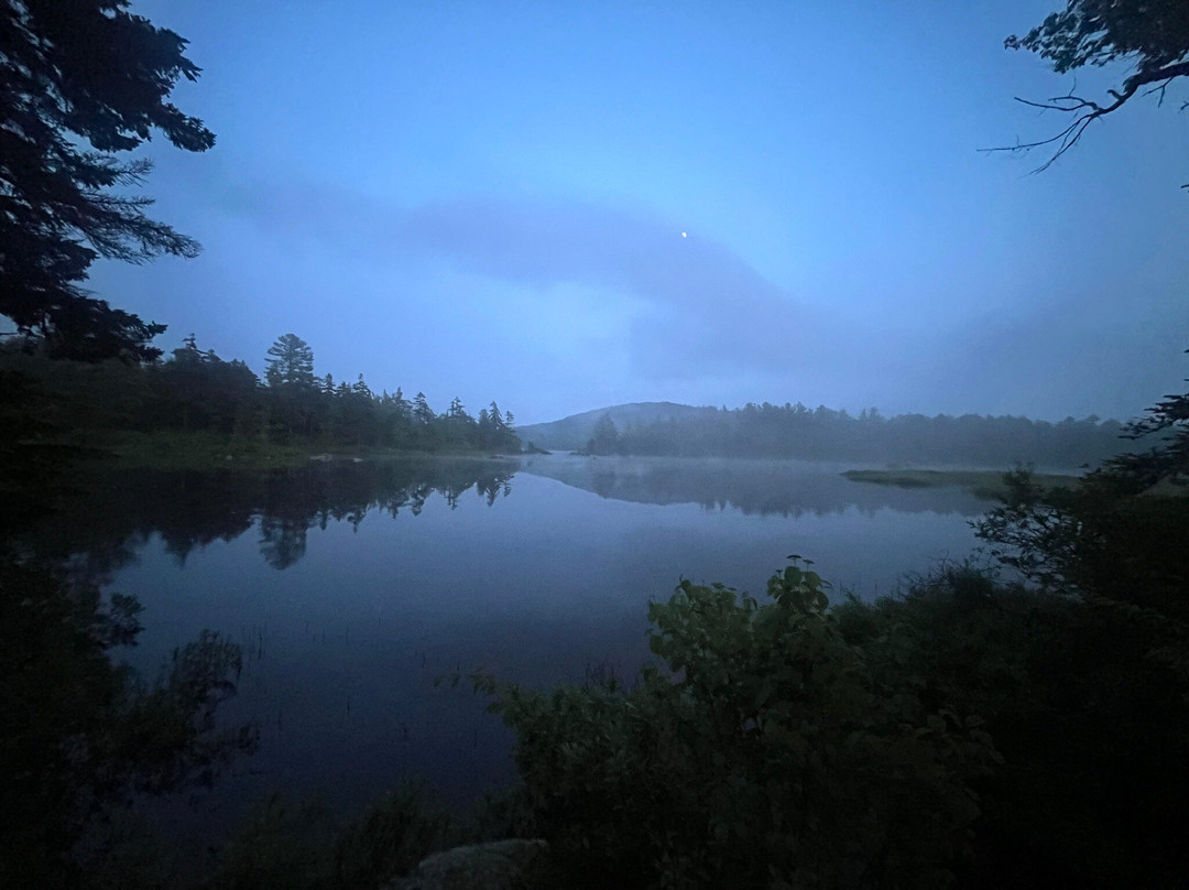 Pillsbury State Park-Washington必去景点
