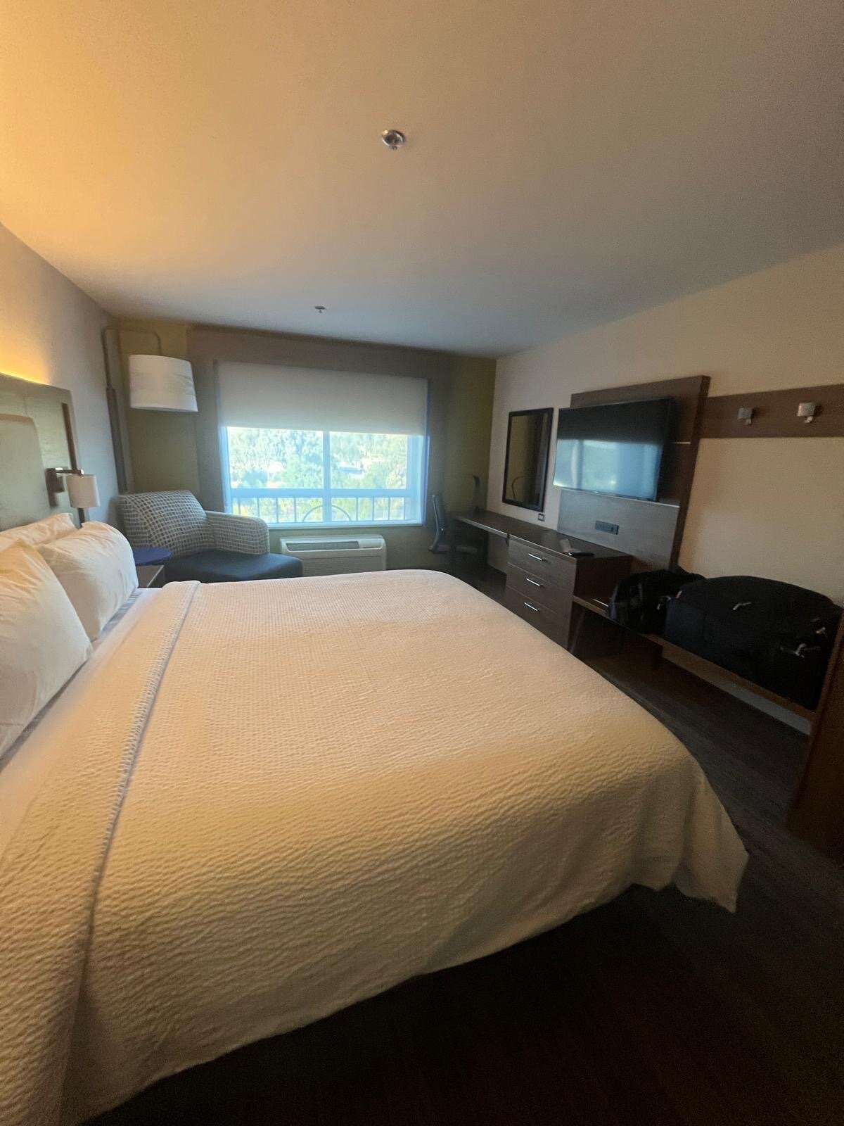 阿塔斯卡戴罗智选假日套房酒店-官方