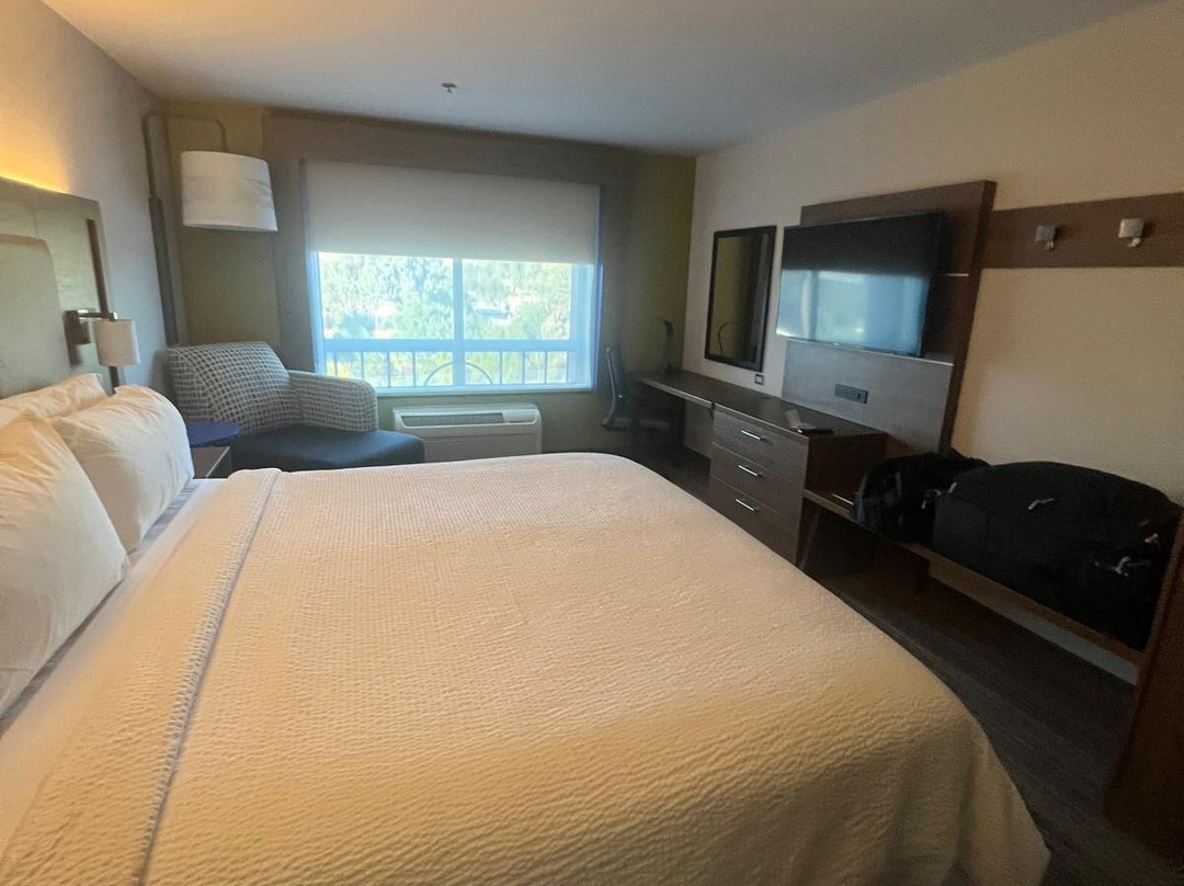 阿塔斯卡戴罗智选假日套房酒店主图