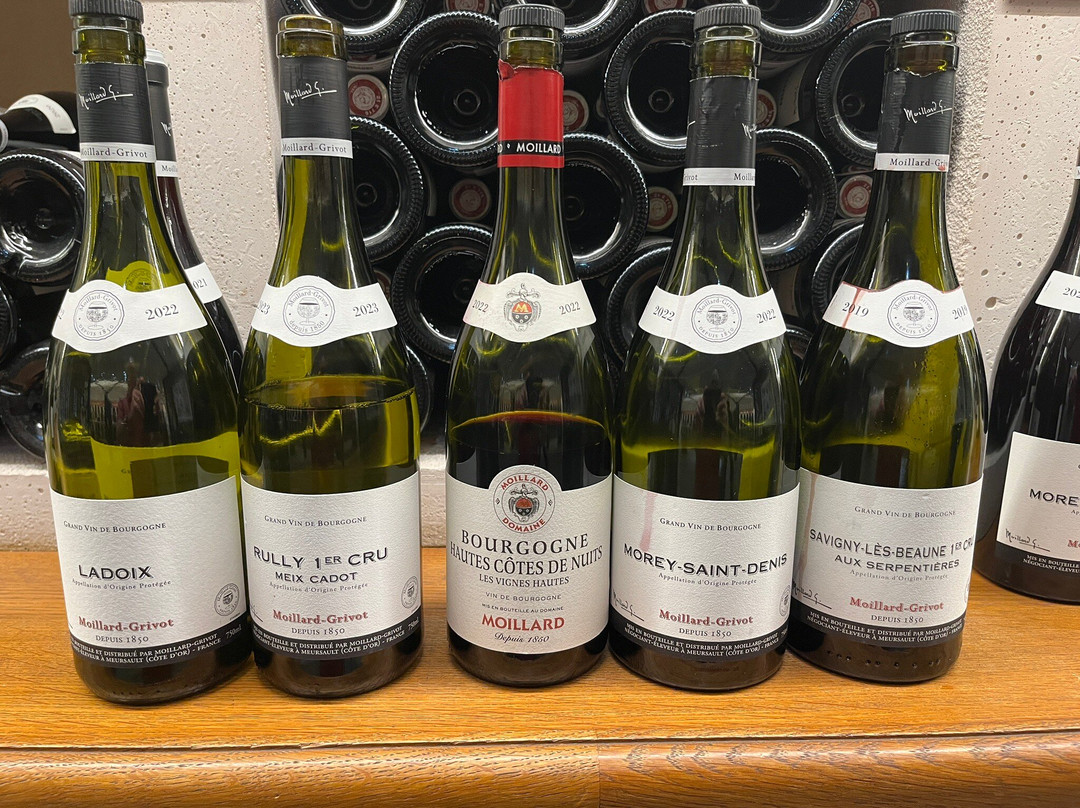 Caveau Moillard-夜圣乔治必去景点