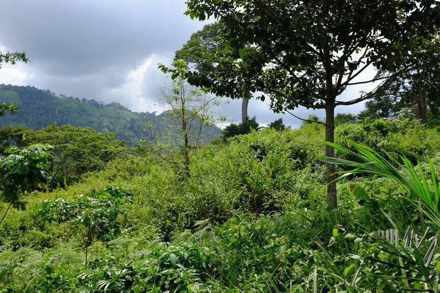Fermes Et Village De Kpalimé Dzokoto-Kpalime必去景点