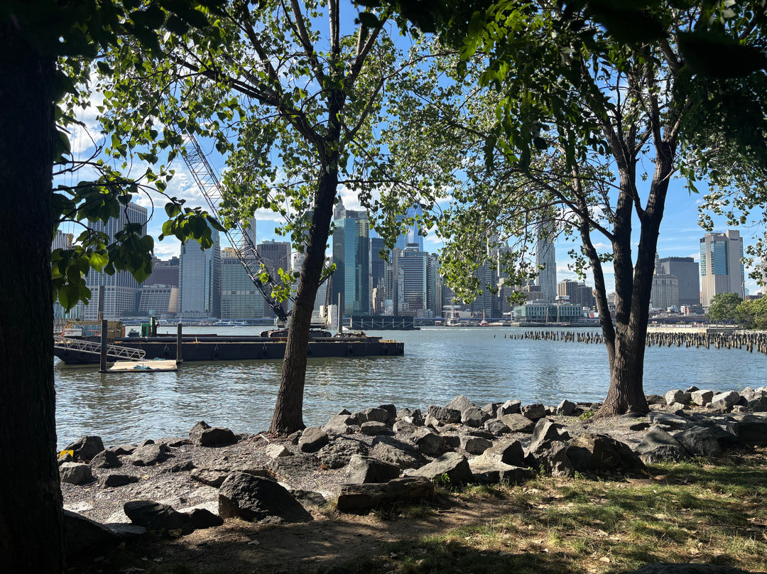 Dumbo Manhattan Bridge View