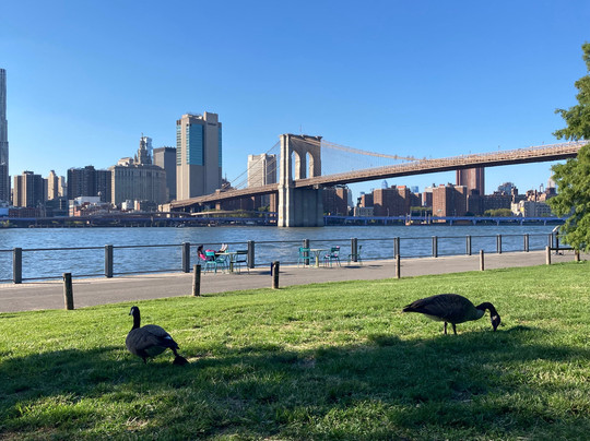 Autentico Nueva York-纽约市必去景点