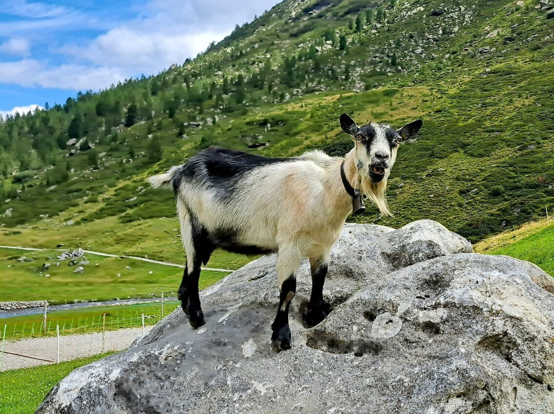 Texelgruppe Nature Park-Naturno必去景点