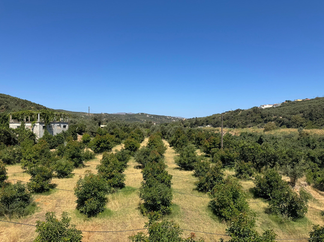 Visit Cretan Brewery-Platanias必去景点