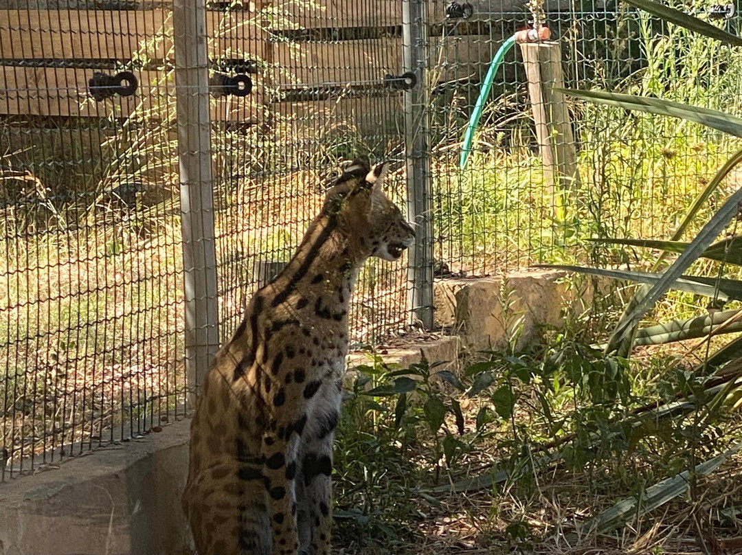 Zoa Parc Animalier et Botanique-滨海萨纳里必去景点