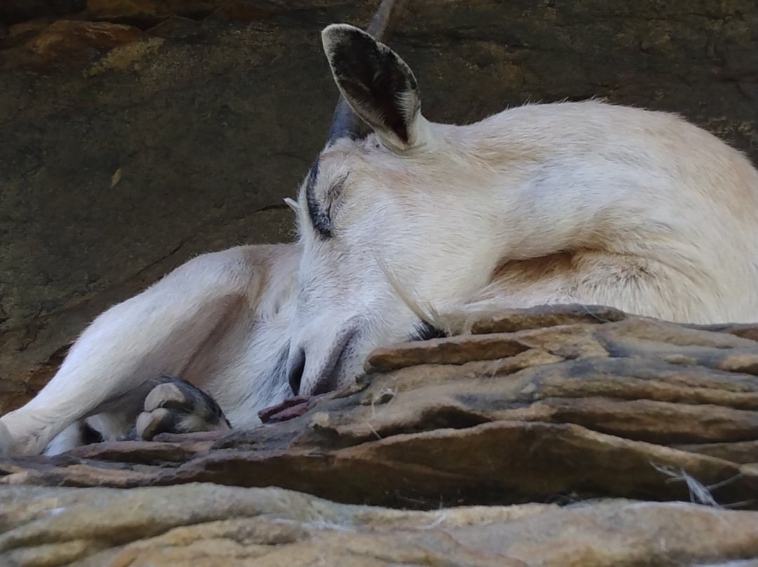 Hatfield-McCoy Trail-Lyburn必去景点