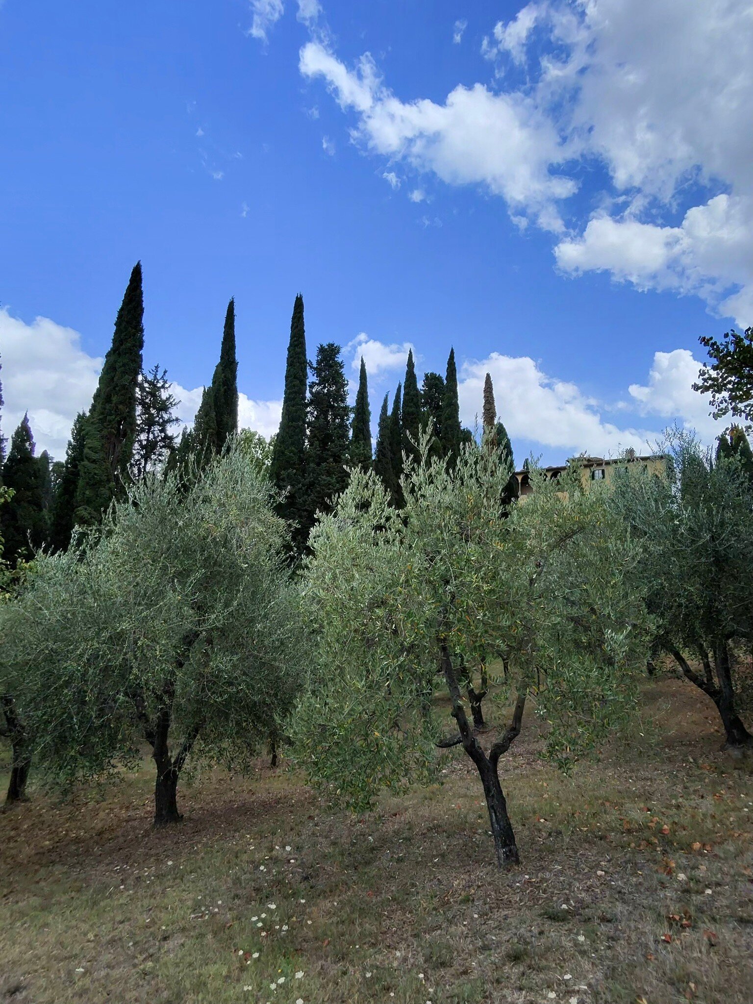 艾盖浦艺术别墅酒店-官方