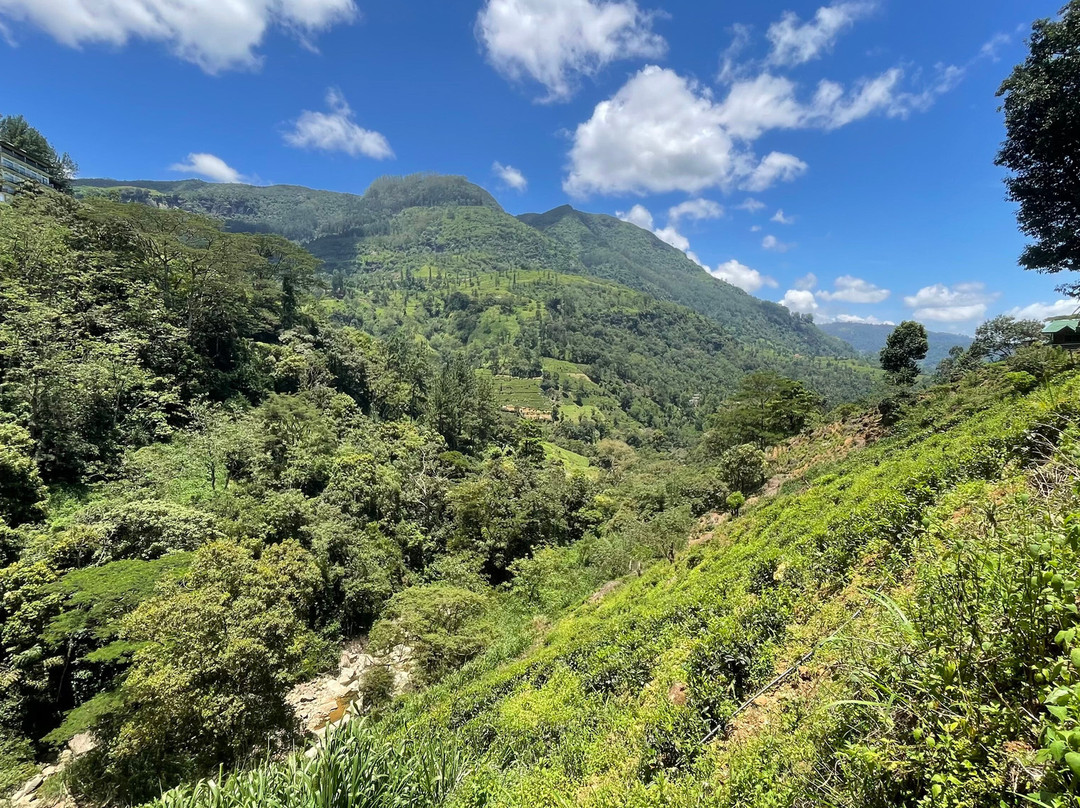 Tour In Lanka-尼甘布必去景点