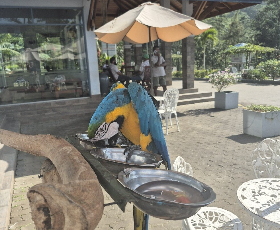 Exotic Island Tours - Private Driver Sri Lanka-Ganemulla必去景点