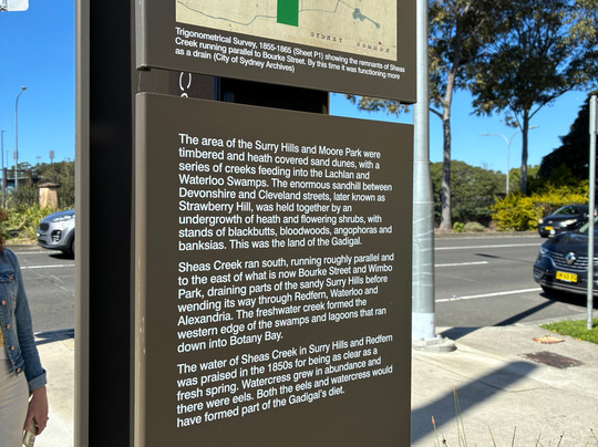 Wimbo Park-Surry Hills必去景点