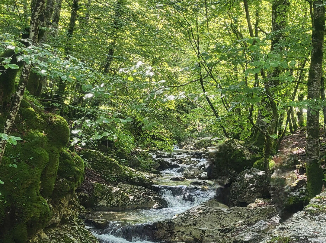 La Camosciara-Civitella Alfedena必去景点