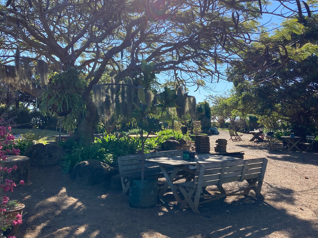 Tinaberries-邦德堡必去景点