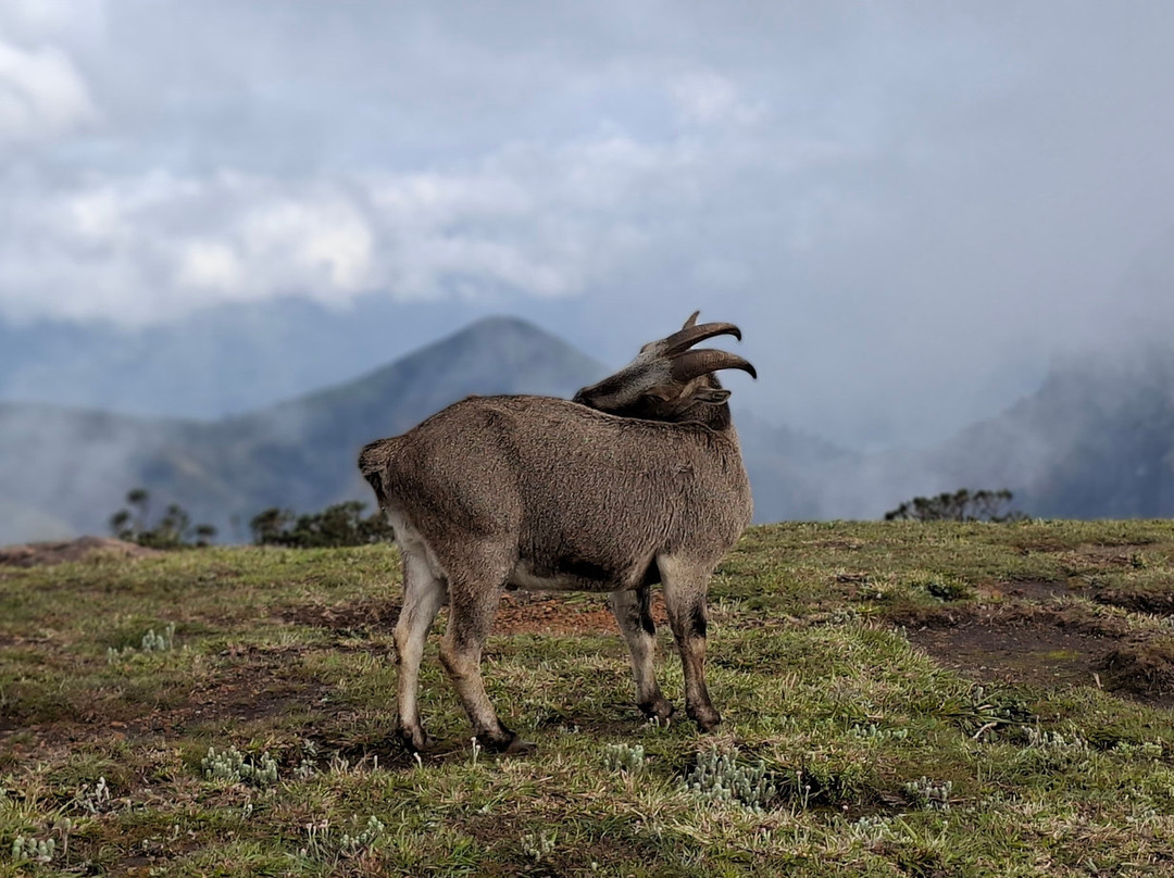 KFDC Ecotourism-慕那尔必去景点