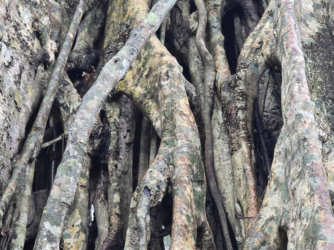 Khao Yai National Park-北丕必去景点