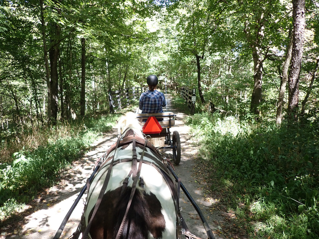 Shaker Village of Pleasant Hill - The Inn主图