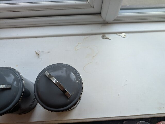 Quarrie House Guesthouse主图