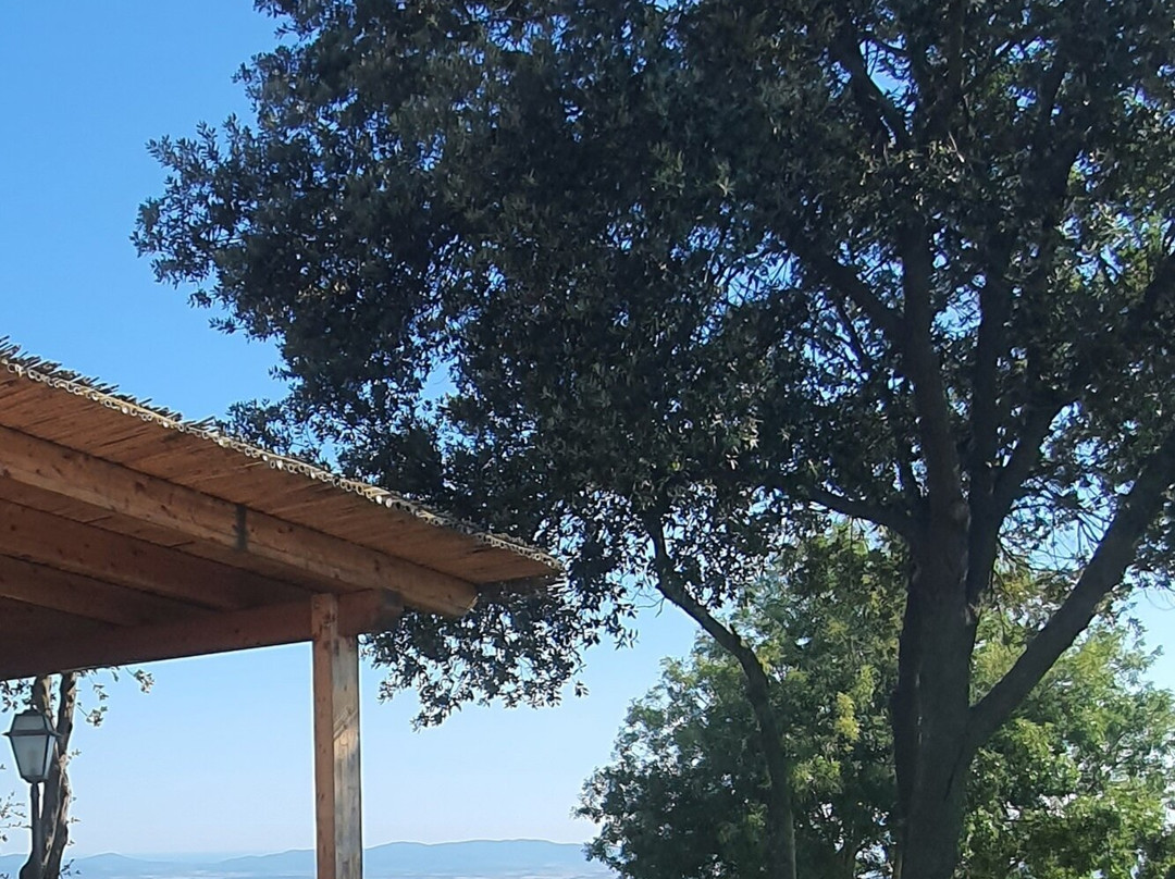 Agriturismo Podere l'Aione主图