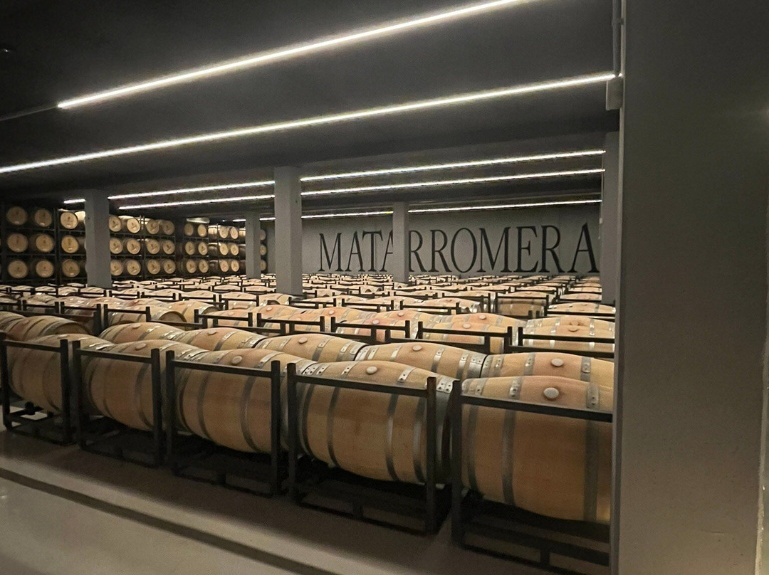 Bodega Matarromera-Valbuena de Duero必去景点
