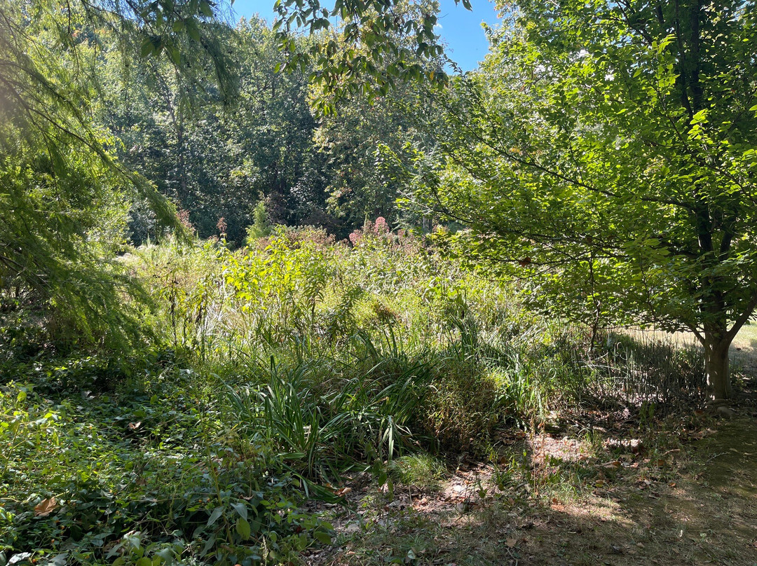 Edith J. Carrier Arboretum-哈里森堡必去景点