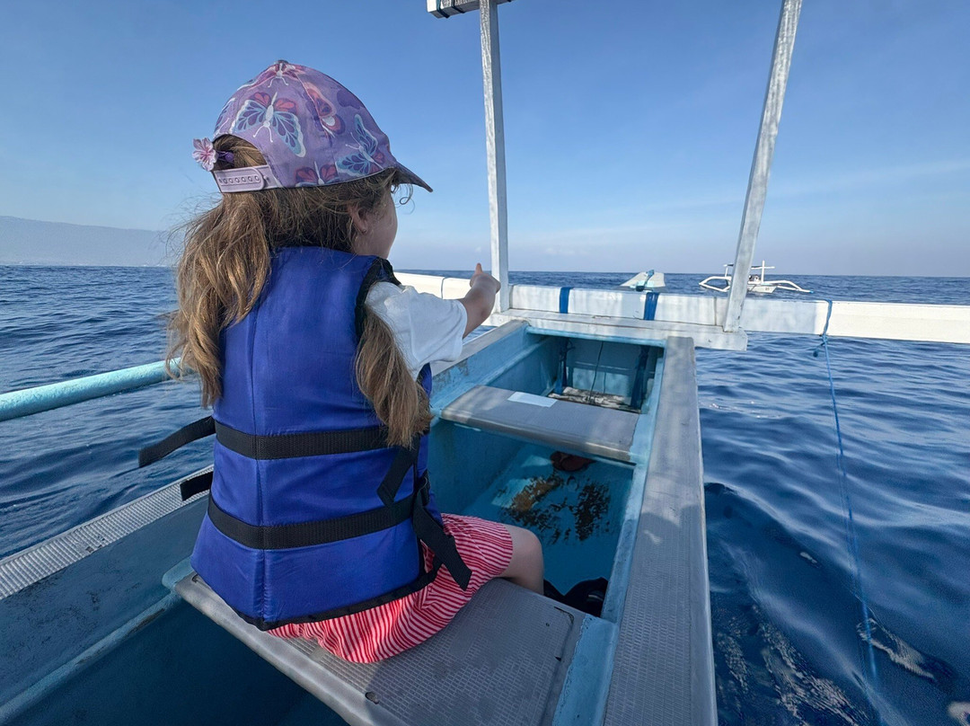 Dolphin Watching Lovina-Anturan必去景点