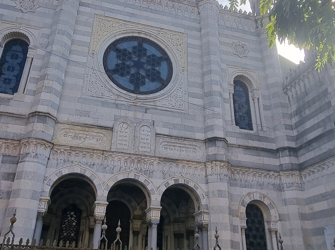 Sinagoga di Vercelli-韦尔切利必去景点